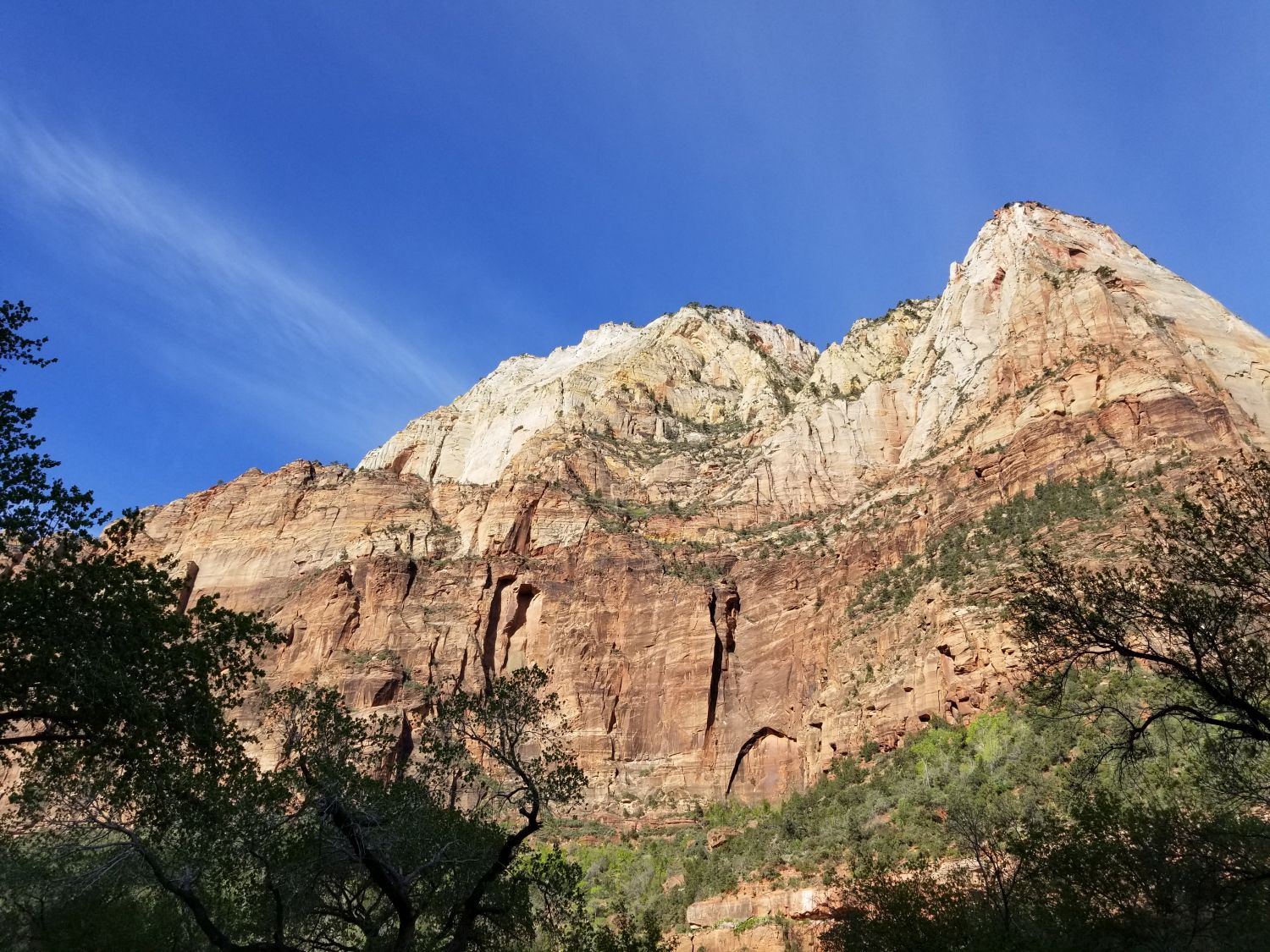 Zion Visitor Center 